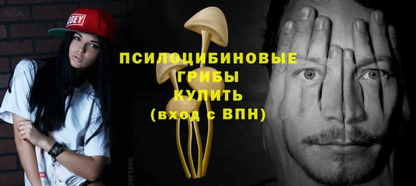 шишки Пересвет