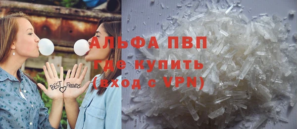 шишки Пересвет