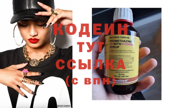 шишки Пересвет