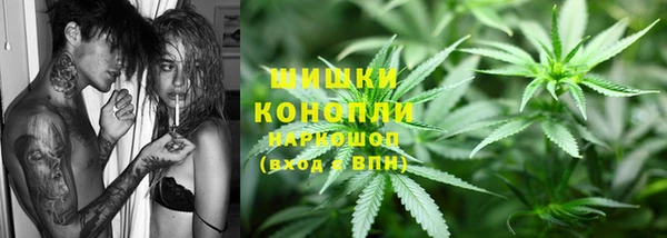 шишки Пересвет