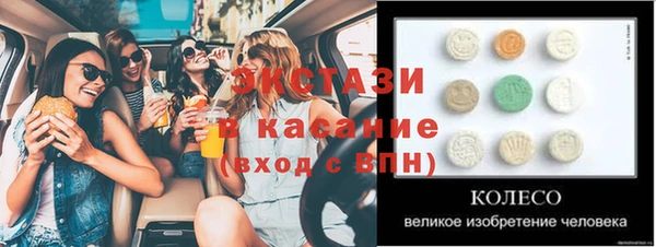 шишки Пересвет