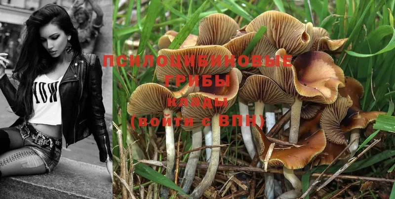 Псилоцибиновые грибы MAGIC MUSHROOMS  как найти закладки  Бабаево 